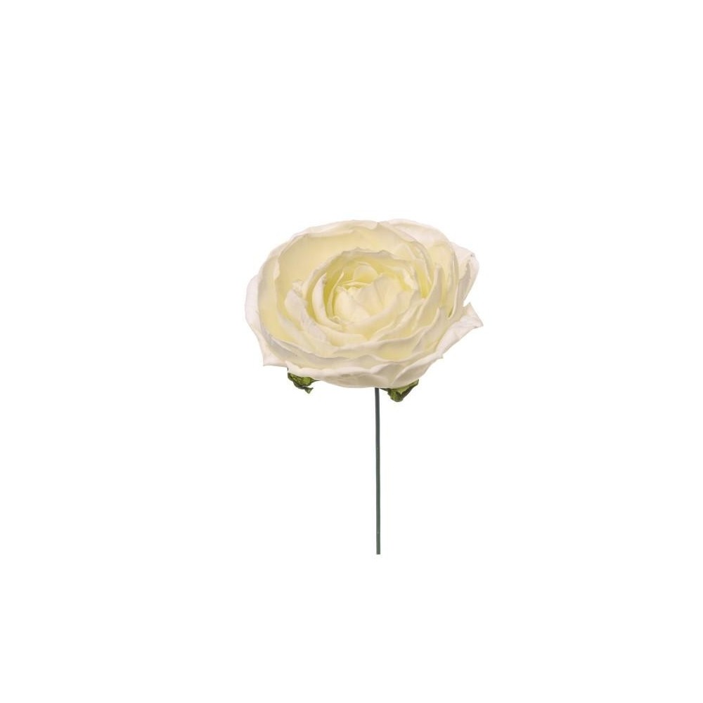 PICK RANUNCOLO WHITE